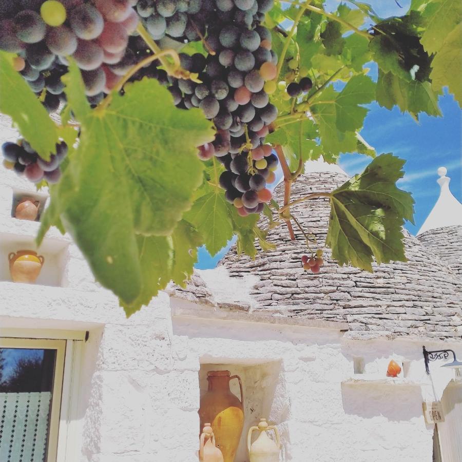 B&B Masseria Nuove Caselle Villa Castelli Kültér fotó